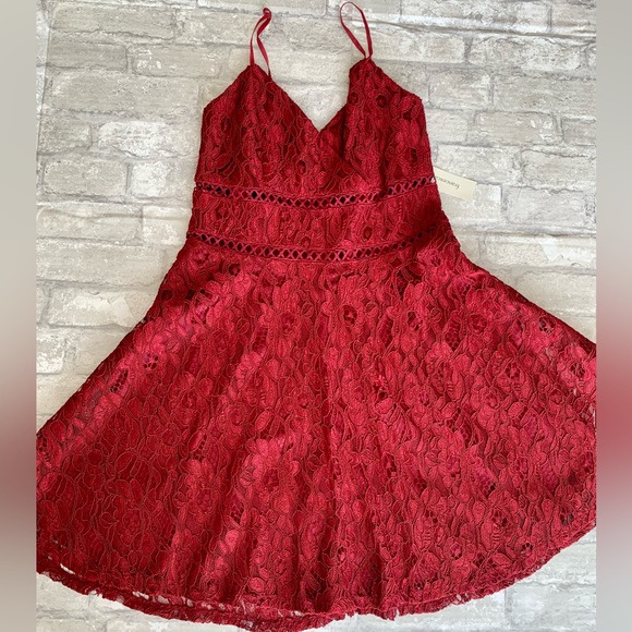 Francesca’s Collections: Mi Ami Dress - Picture 4 of 10